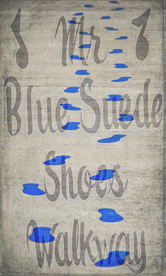 Blue Suede Shoes Digital Art by Linda Segerson