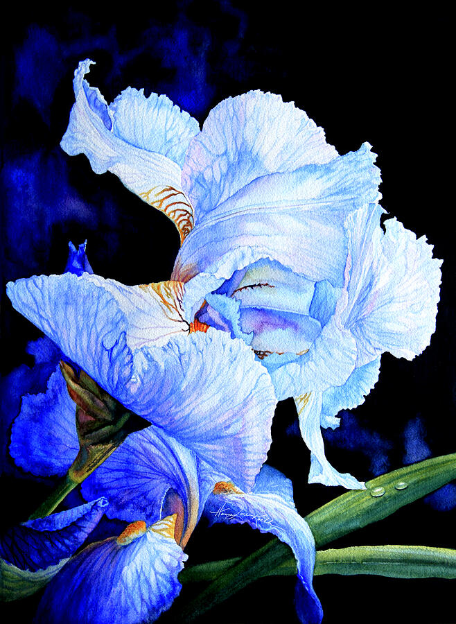 Iris Painting - Blue Spring Iris by Hanne Lore Koehler