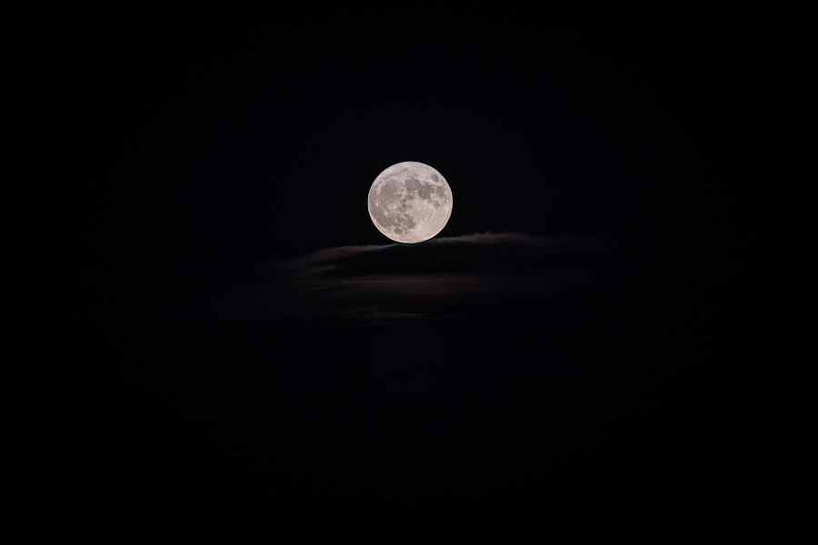 Blue Super Moon 2023 - 101 Photograph by Kristy Mack - Fine Art America