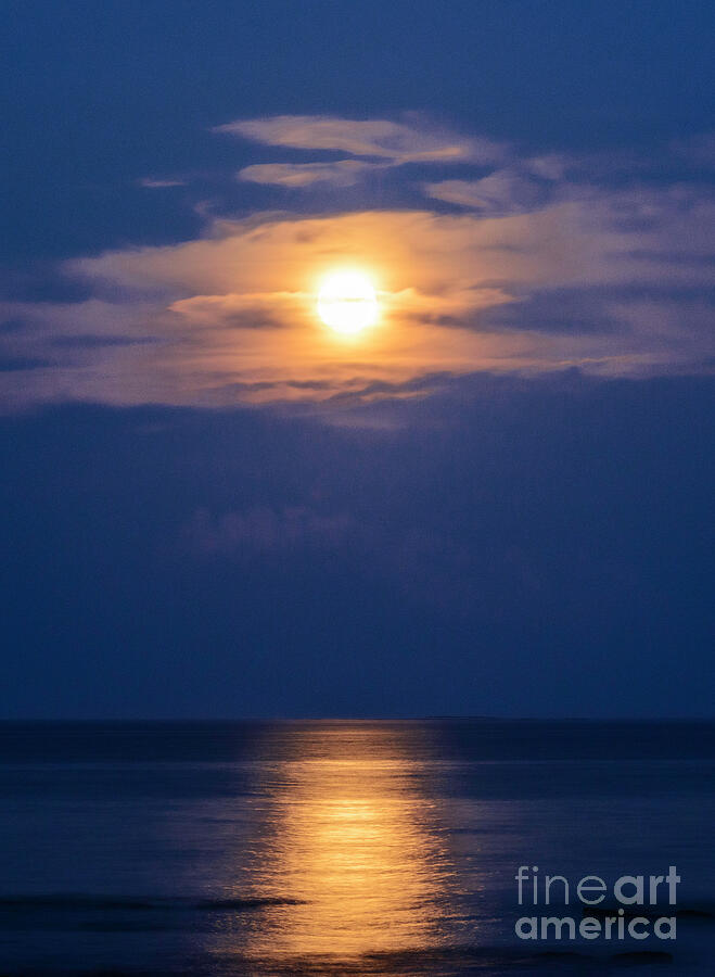 Twilight Veil  Blue Moon Enchantment Photograph by Sharon Seaward