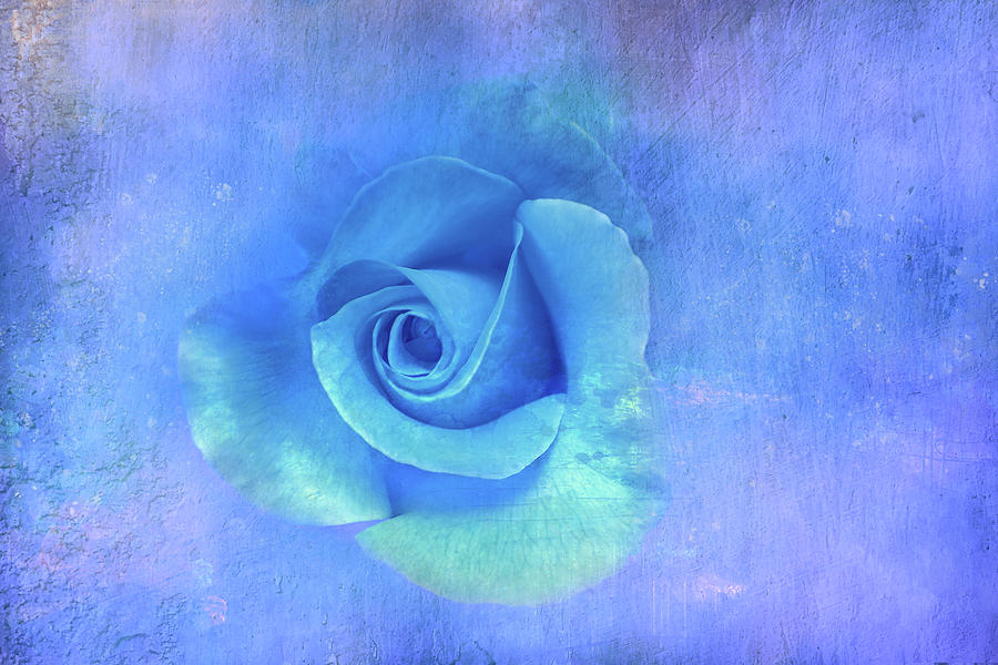 Blue Textured Rose Digital Art by Terry Davis