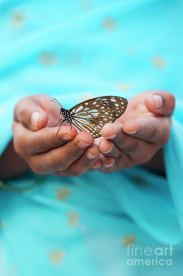 Blue Tiger Butterfly in Cupped Hands Photograph by Tim Gainey