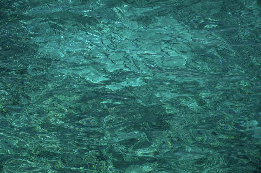 Blue Tiny Fishes in Blue Water 1 Photograph by Jenny Rainbow - Fine Art ...