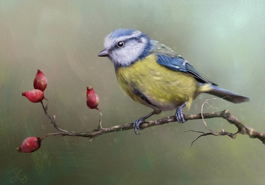 Bird Painting - Blue Tit and Rose Hips by Joe Gilronan