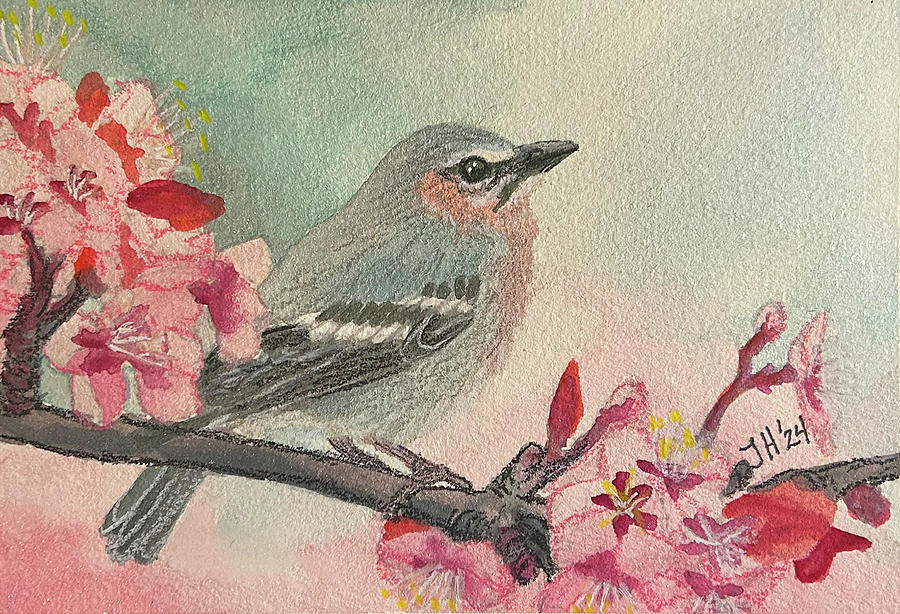 Blue Tit in a Cherry Tree Painting by Jean Haynes