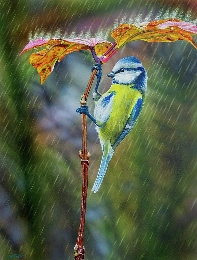 Blue Tit Painting - Blue tit in the rain by Raymond Ore Blue Tit Painting - Blue tit in the rain by Raymond Ore