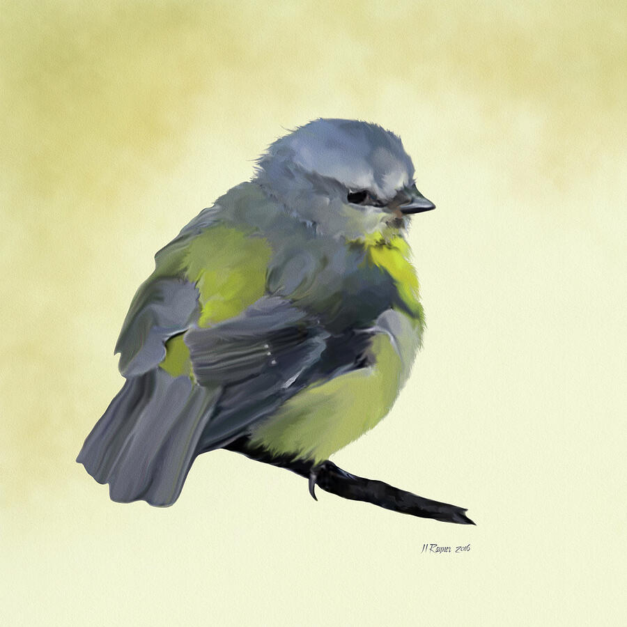 Blue Tit on a Branch Digital Art by Bamalam Art Blue Tit on a Branch Digital Art by Bamalam Art