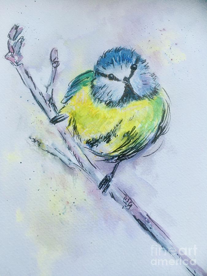 Blue Tit on Rose Branch Painting by Maxie Absell