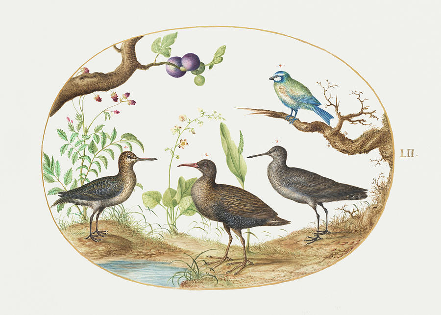Blue Tit with Three Wading Birds and a Fig Tree Painting by MotionAge Designs