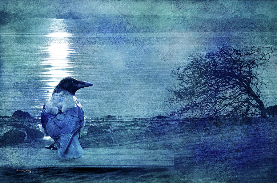 Blue Tones for a Crow Photograph by Randi Grace Nilsberg