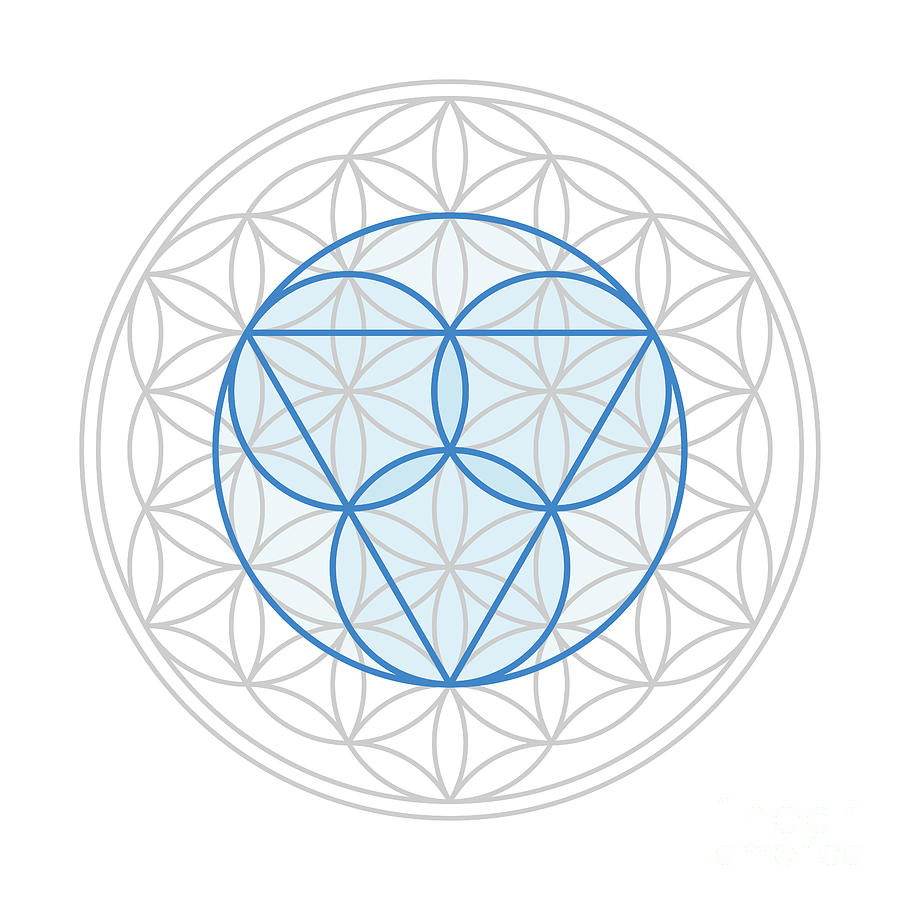Blue trinity symbol over a gray Flower of Life, Sacred Geometry Digital ...