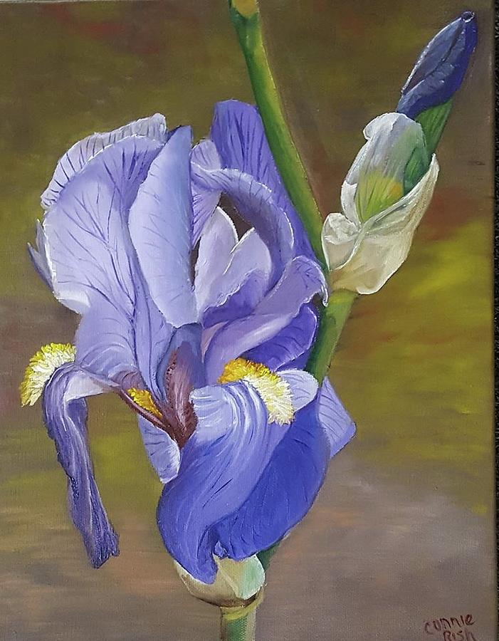 Blue Violet Iris Painting by Connie Rish