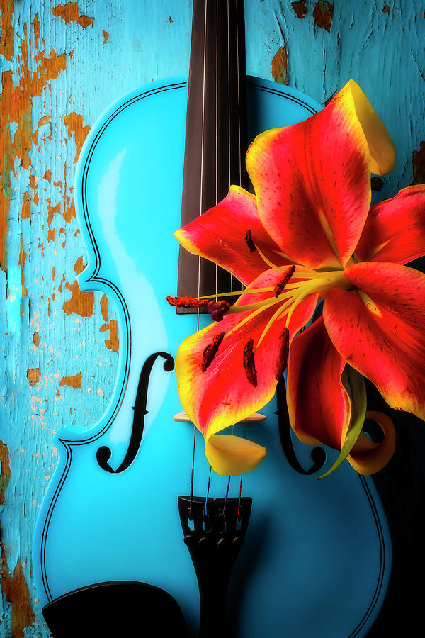 Blue Violin And Tiger Lily Photograph by Garry Gay