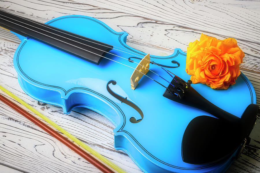 Blue Violin And Yellow Ranunculus Photograph by Garry Gay