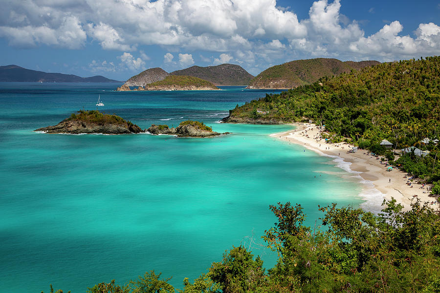 Blue Waters of Trunk Bay Photograph by Adam Romanowicz
