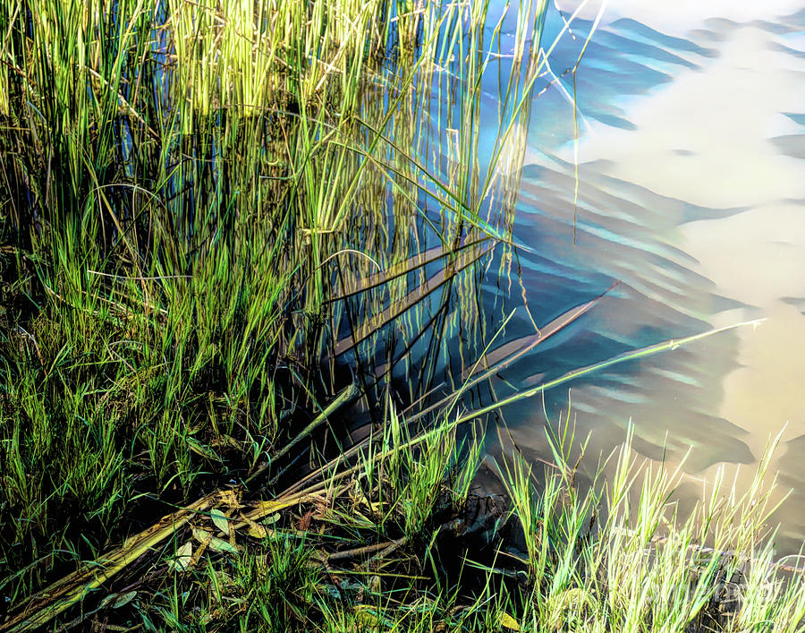 Blue Wave w Grasses Digital Art by Deb Nakano