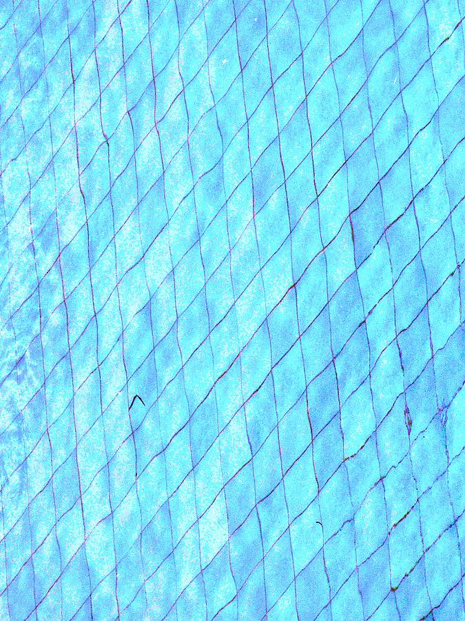 Architecture Photograph - Blue Web by Dietmar Scherf