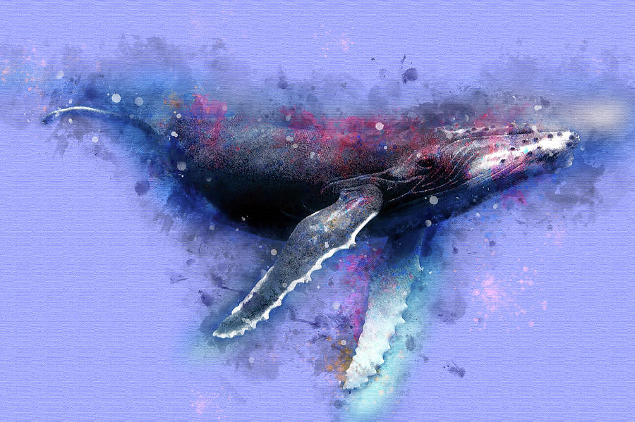 Blue whale Drawing by Angelica Queen Fine Art America