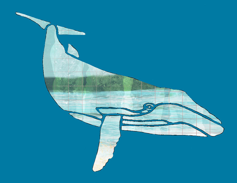 Blue whale Silhouette 2 Digital Art by Eileen Backman