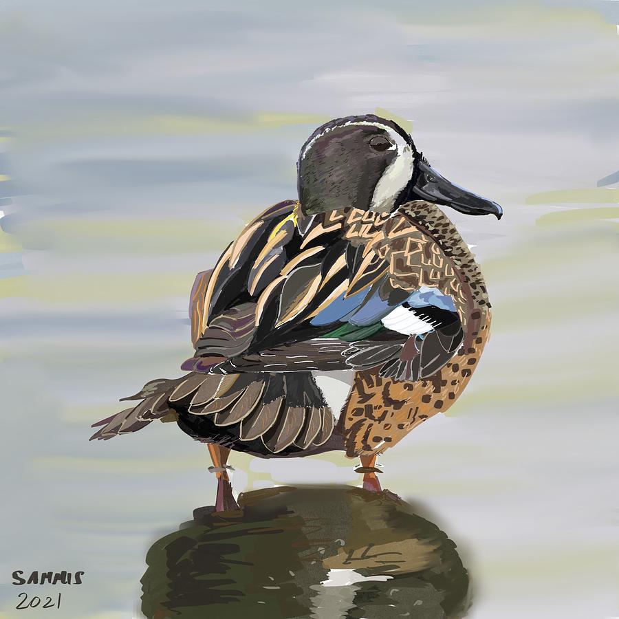 Blue-winged Teal Digital Art by Sarah Sammis - Fine Art America