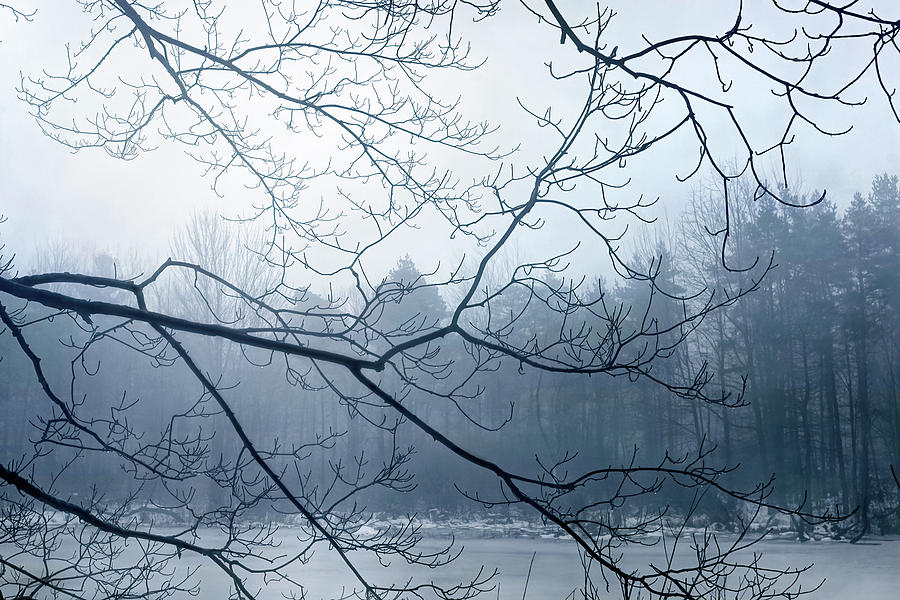 Blues of Winter Photograph by Kathi Mirto