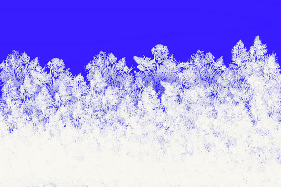 Blue Winter Digital Art