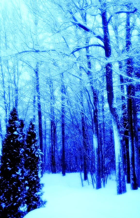 Blue Winter Photo 180 Mixed Media by Lucie Dumas