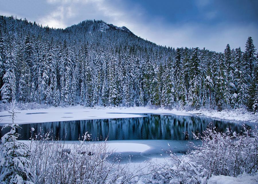 Blue winter pond Photograph by Lynn Hopwood