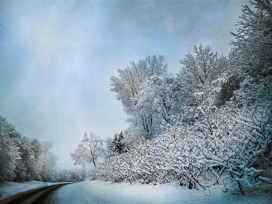 Blue Winter Scene with Texture Photograph by Patti Deters
