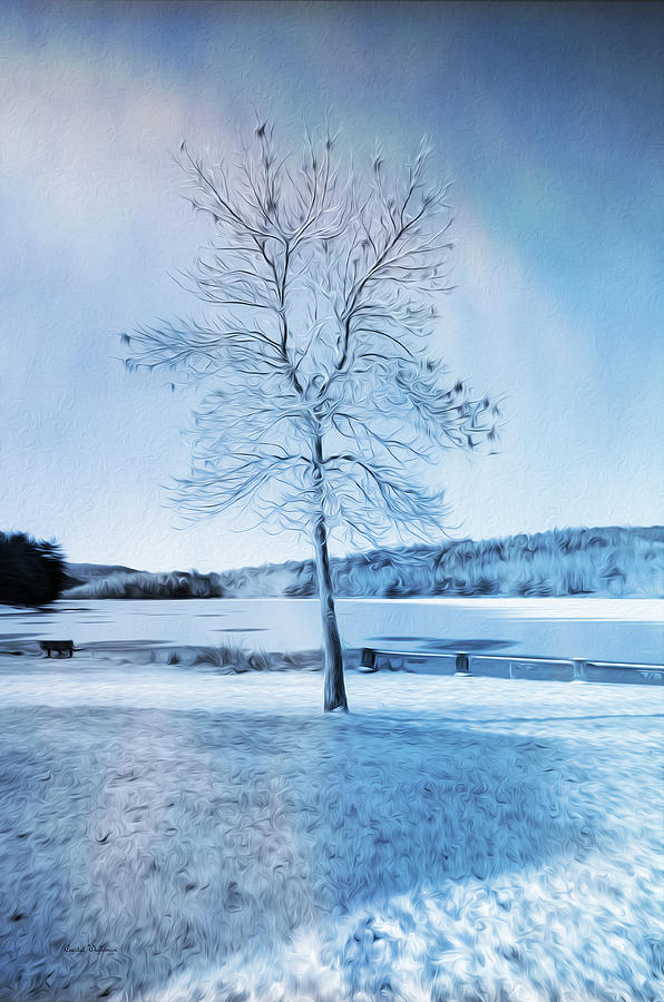 Blue Winter Tree Photograph by Crystal Wightman