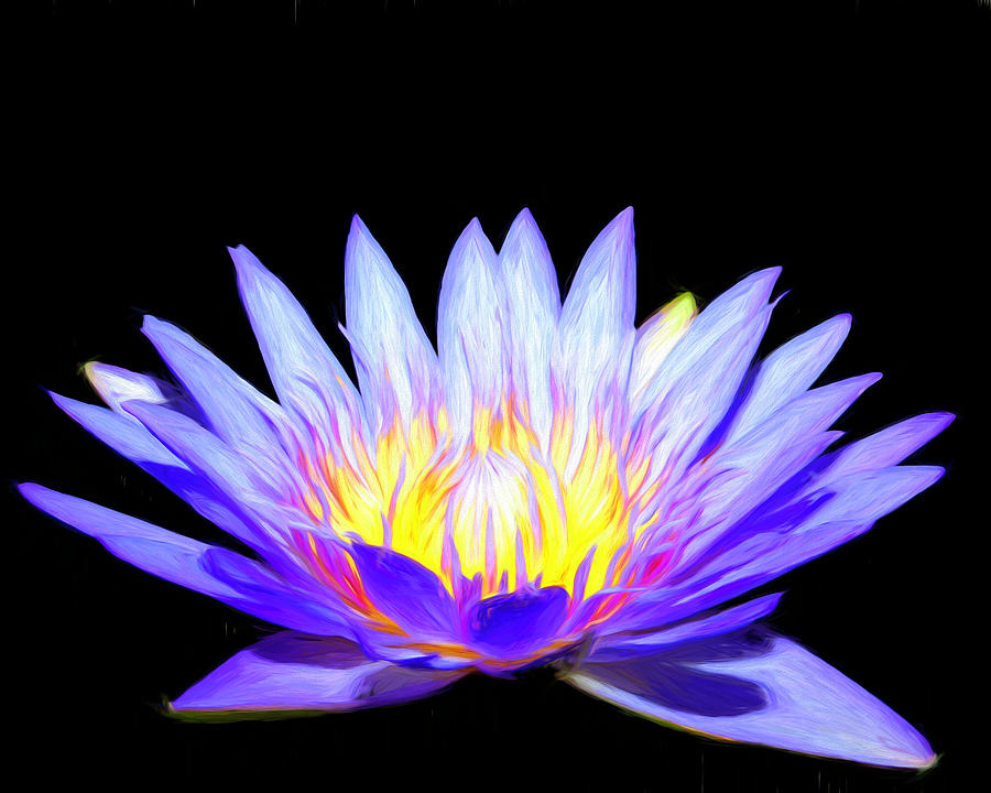 Blue Wonder Water Lily Painting Photograph by Judy Vincent