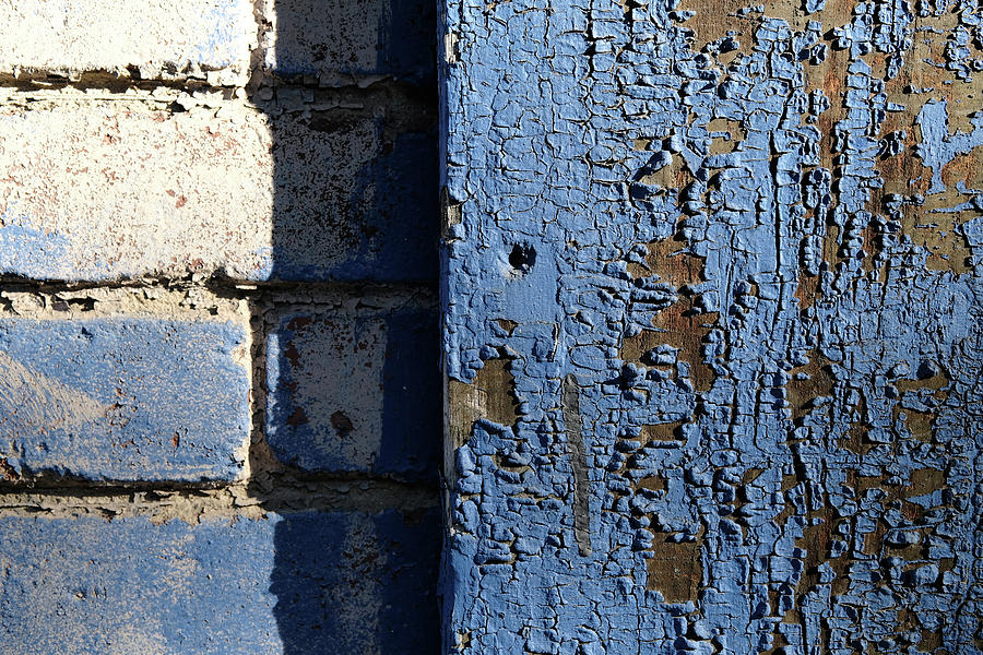 Blue Wood Closer Photograph by Kreddible Trout