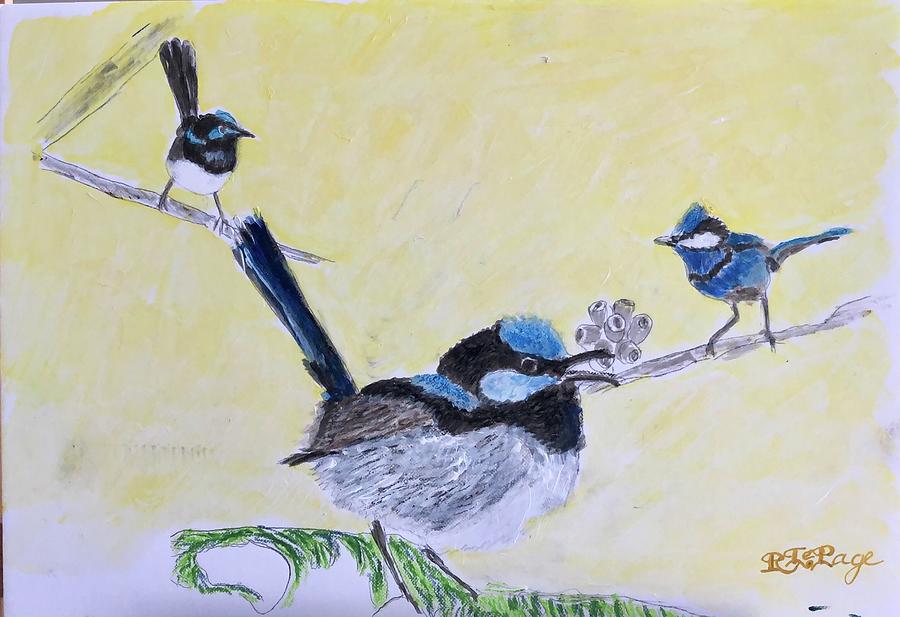 Blue Wrens Pastel by Richard Le Page