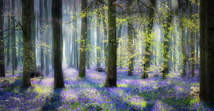 Bluebell wood ol 1 Photograph by Remigiusz MARCZAK