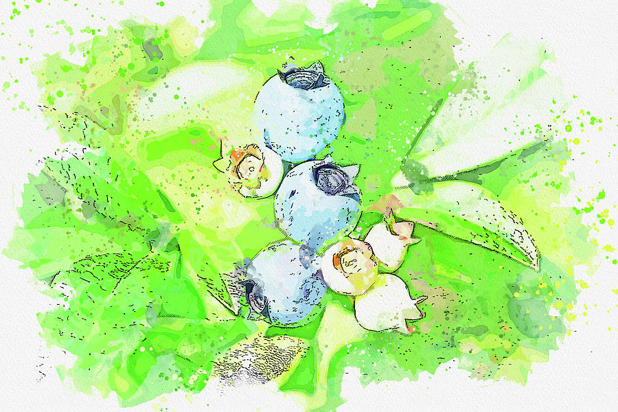 .blueberries 3 Painting
