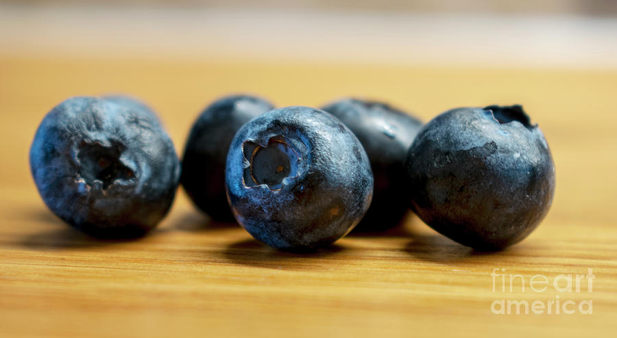 Blueberries Close Up Photograph by Nina Ficur Feenan