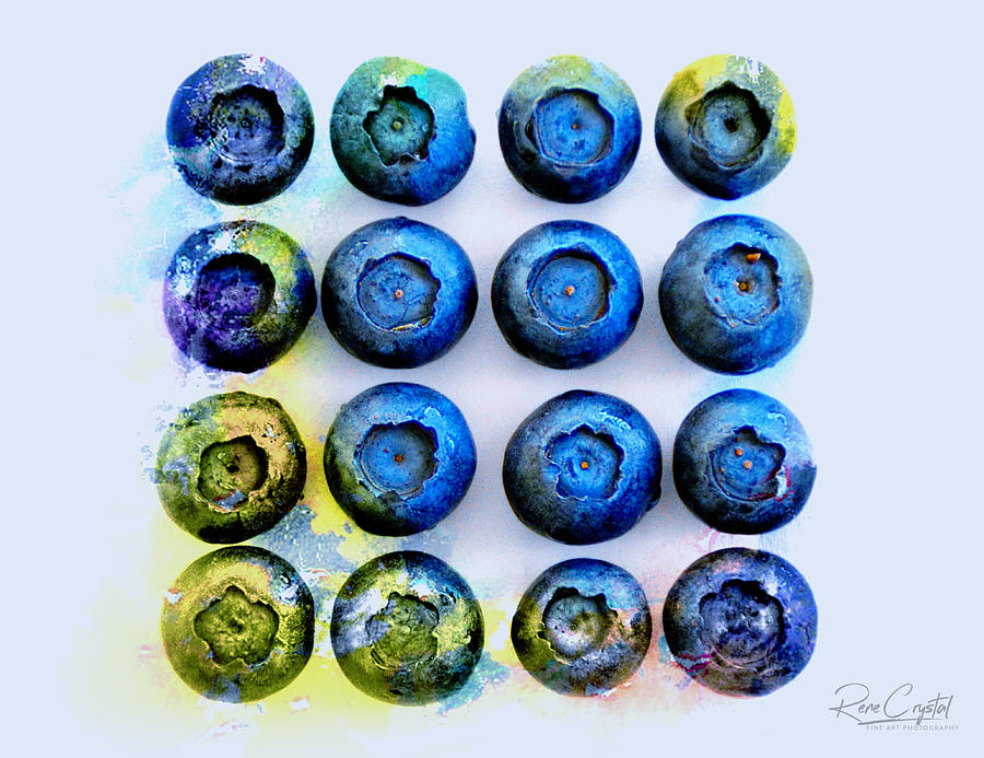 Blueberries Gone Artsy Photograph by Rene Crystal