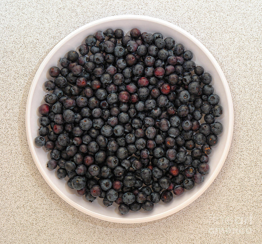 Blueberries in a Plate Photograph by Olivier Le Queinec