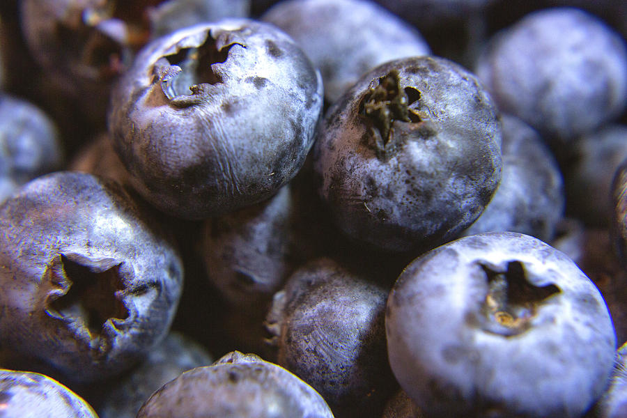 Blueberry Macro Photograph by Her Arts Desire