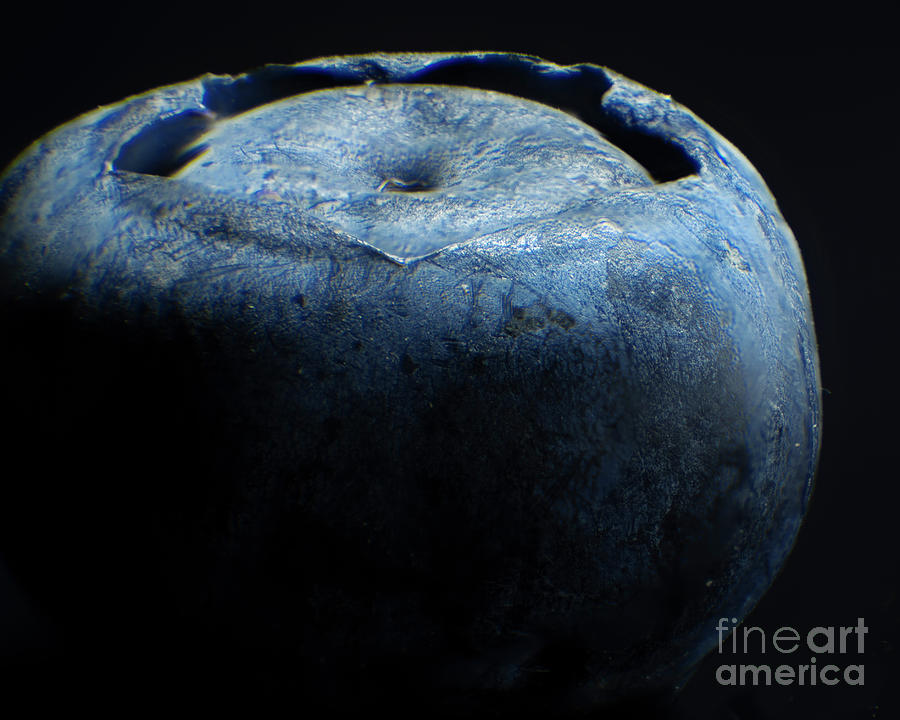 Blueberry Planet Photograph by Adam C Thomas - Pixels