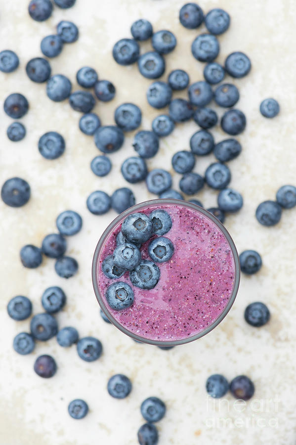 Blueberry Smoothie Photograph by Tim Gainey