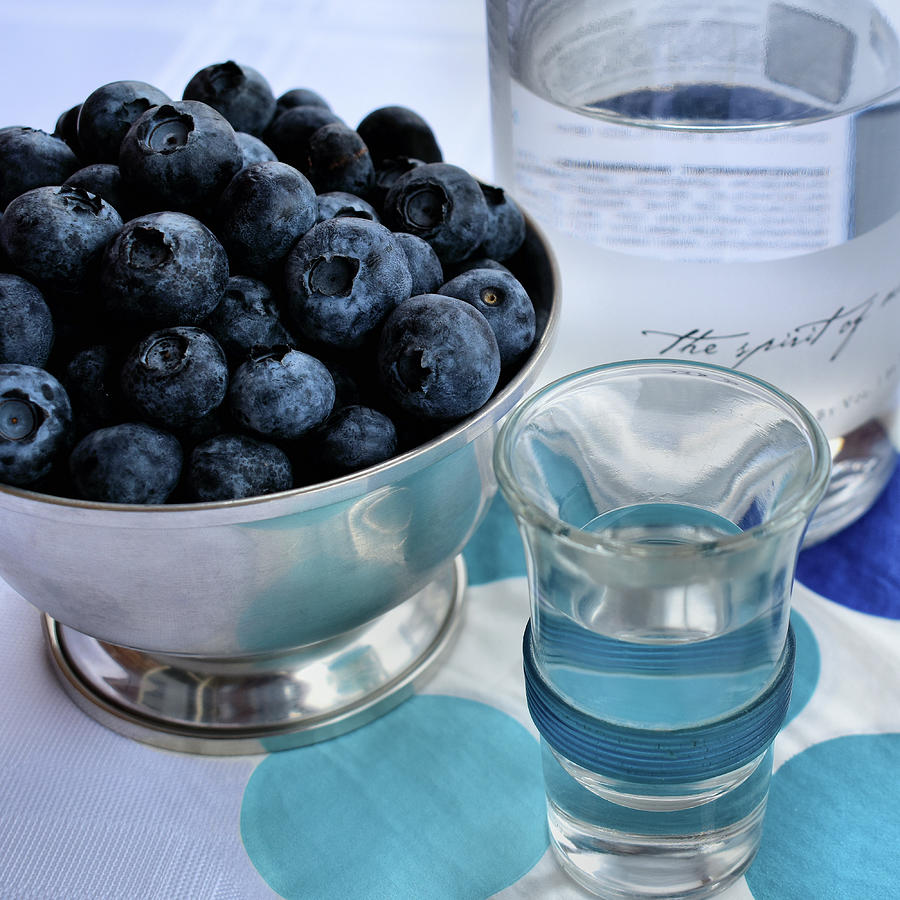 Blueberry Vodka Photograph by Kathy K McClellan