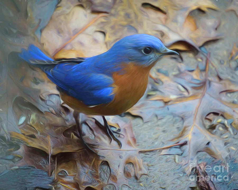 Bluebird Among The Leaves Photograph by Karen Beasley
