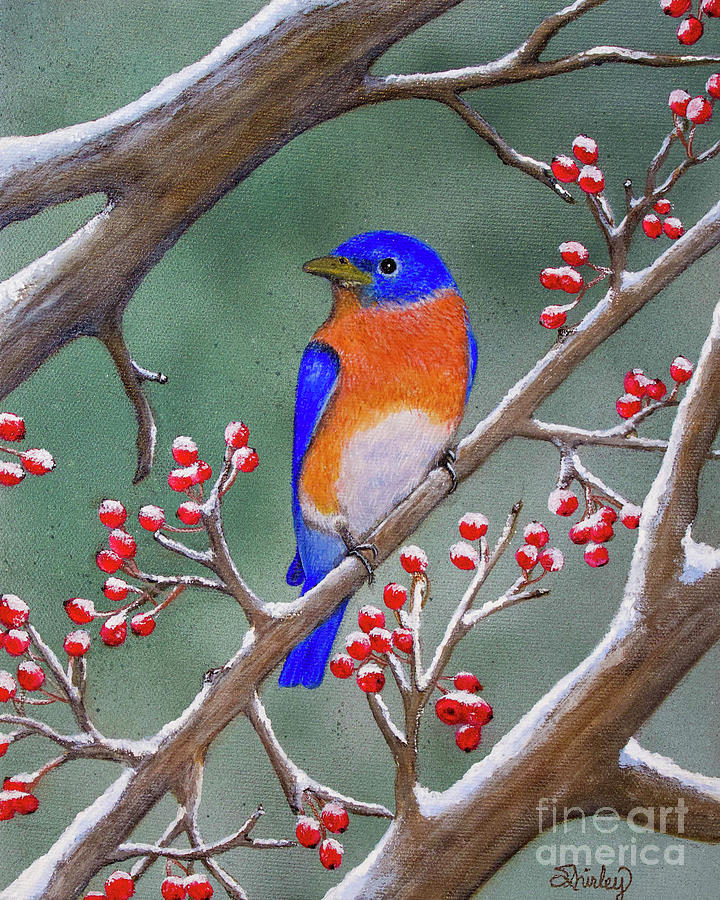 Bluebird and Berries Painting by Shirley Dutchkowski