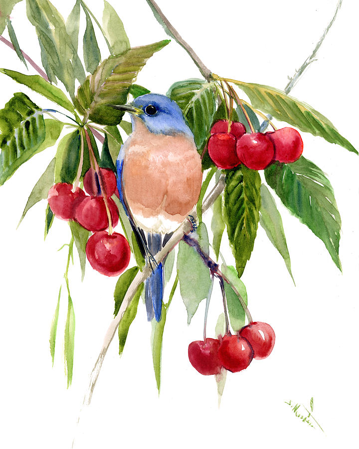 Bluebird and Cherries Painting by Suren Nersisyan