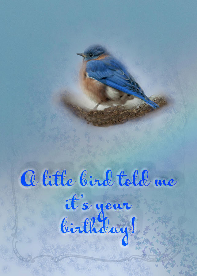 Bluebird Birthday Greeting Card Photograph