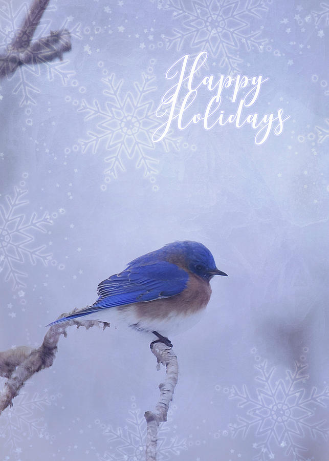 Bluebird Happy Holidays Greeting Card Photograph by Carol Senske