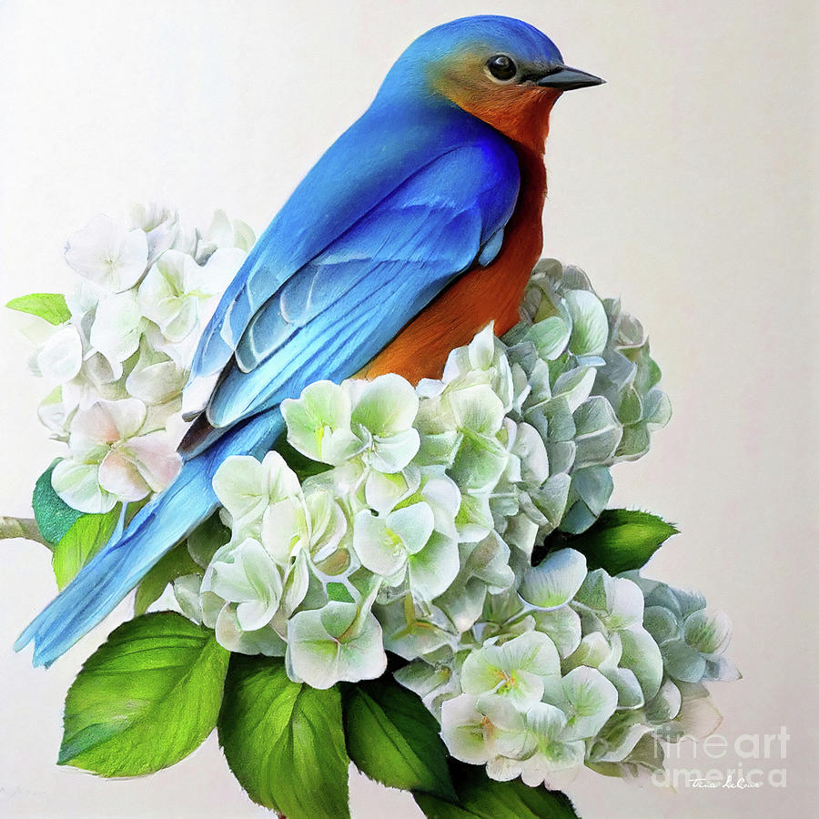 Bluebird In The White Hydrangea Painting by Tina LeCour