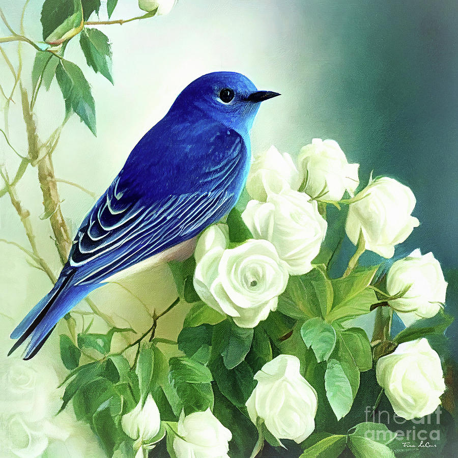 Bluebird In The White Roses Painting by Tina LeCour