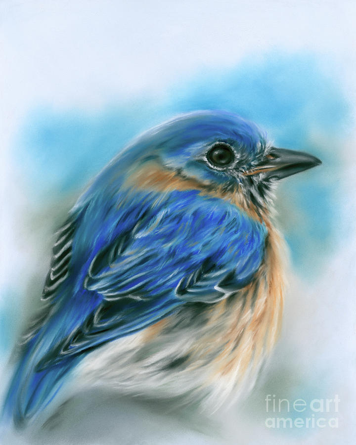 Bluebird in Winter Painting by MM Anderson